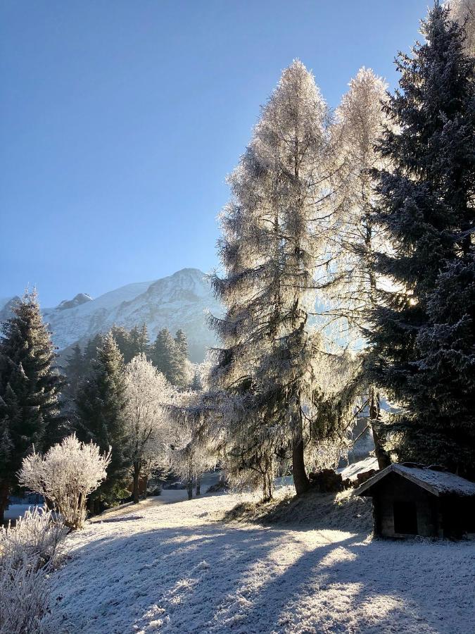 Chambres d'hôtes - B&B - Chalet Mountain Vibes Les Houches Exterior foto